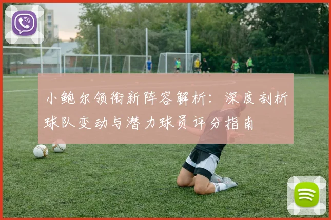 小鲍尔领衔新阵容解析：深度剖析球队变动与潜力球员评分指南